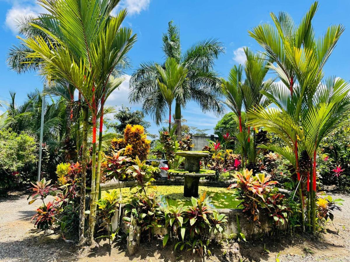 Aunty Arenal Lodge La Fortuna Dış mekan fotoğraf