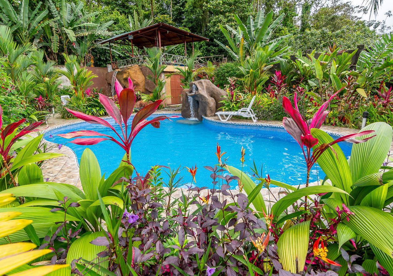 Aunty Arenal Lodge La Fortuna Dış mekan fotoğraf