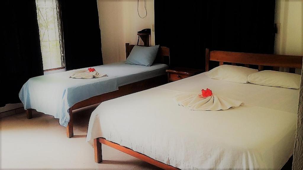 Aunty Arenal Lodge La Fortuna Dış mekan fotoğraf
